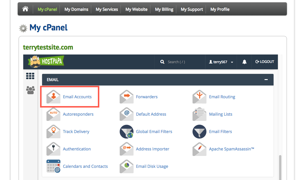 Cpanel mail logs